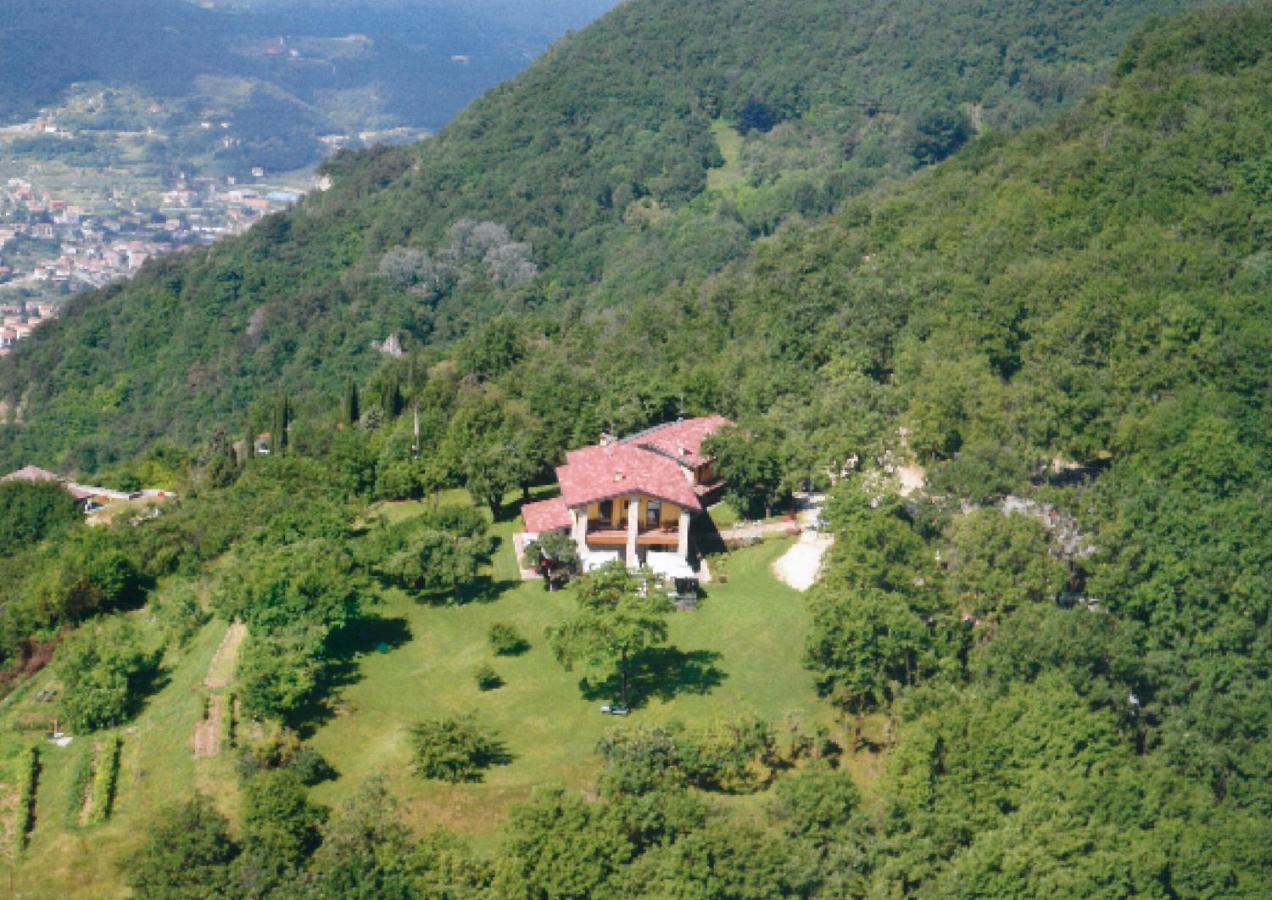 סאלו La Fiocchina - Magic Place - Apartments & Studios In Garda Lake - Countryside Farmhouse, Inside The Middle Of The Lake מראה חיצוני תמונה