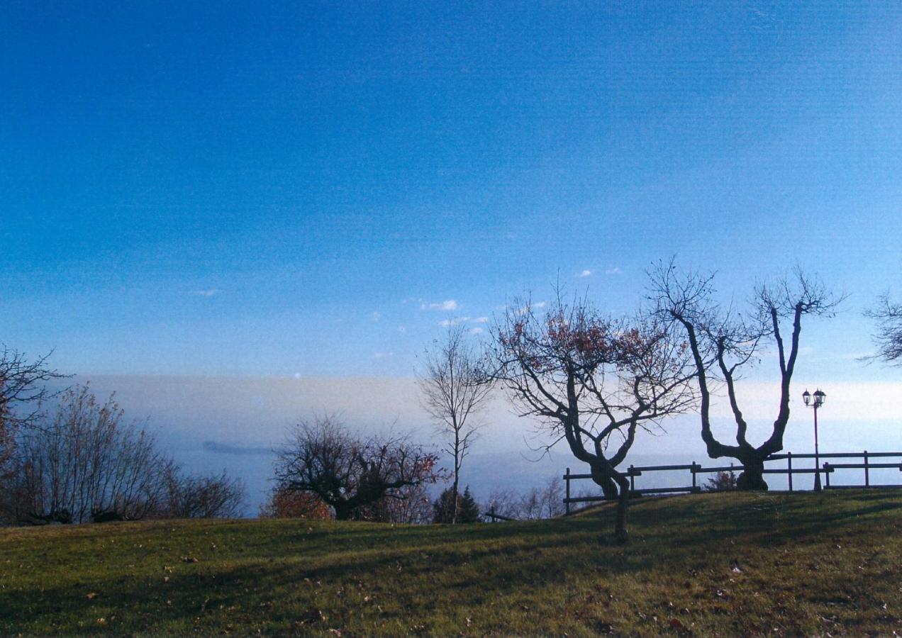סאלו La Fiocchina - Magic Place - Apartments & Studios In Garda Lake - Countryside Farmhouse, Inside The Middle Of The Lake מראה חיצוני תמונה