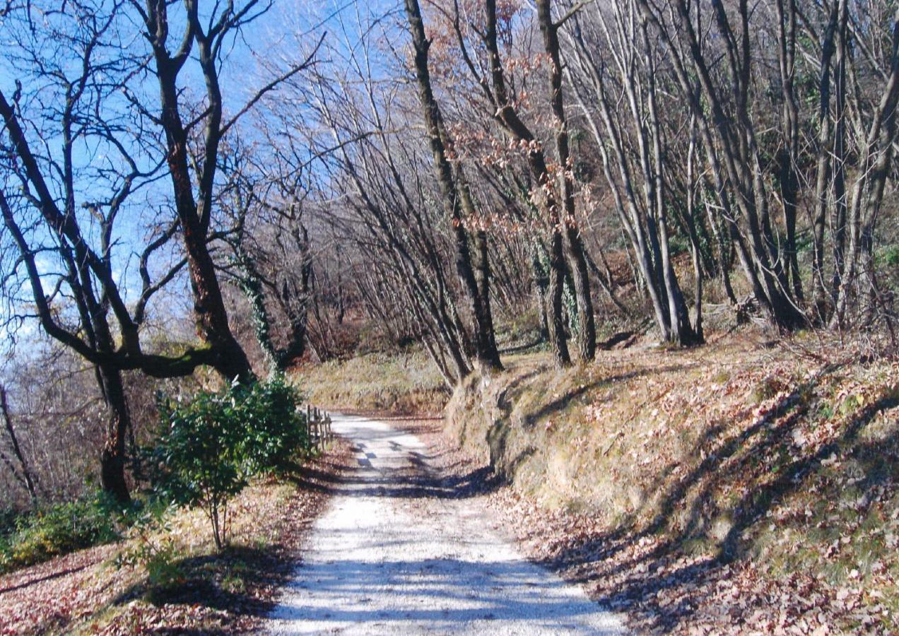 סאלו La Fiocchina - Magic Place - Apartments & Studios In Garda Lake - Countryside Farmhouse, Inside The Middle Of The Lake מראה חיצוני תמונה